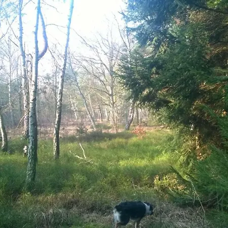 Ferienhaus Friedrichswalde Appartement *
