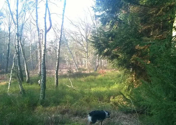 Ferienhaus Friedrichswalde 아파트 *